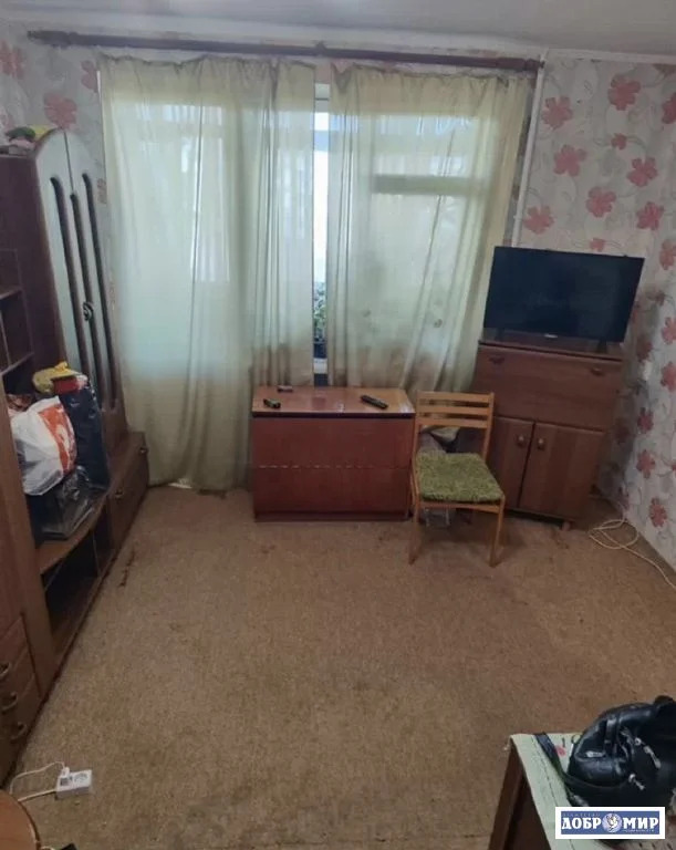 Продается 1-комн. квартира - Фото 4