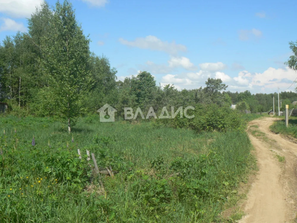Судогодский район, деревня Неврюево, земля на продажу - Фото 6
