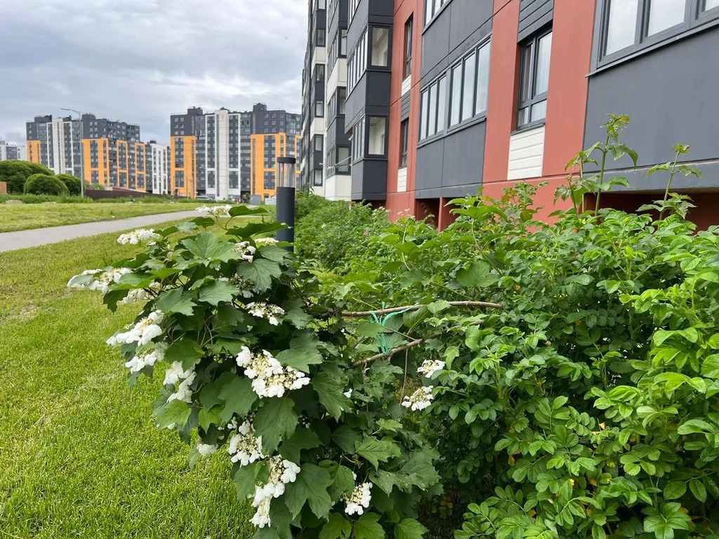 Продам студию. Новоселье, Центральная 18. - Фото 17
