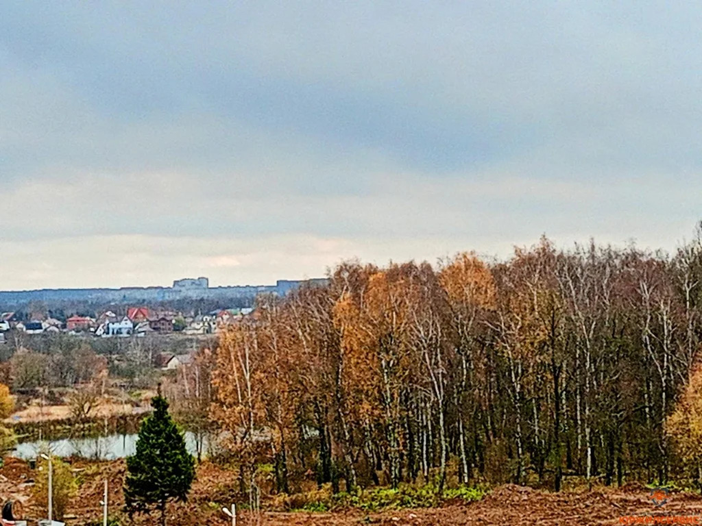 Продажа квартиры, Домодедово, Домодедово г. о., улица Ледовская - Фото 5