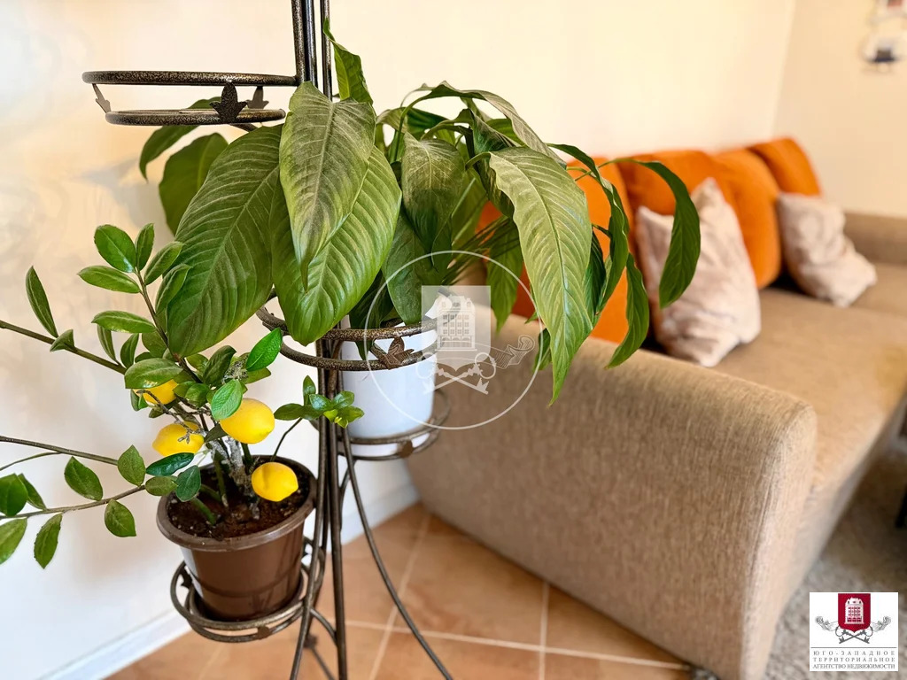 Продажа дома, Кабицыно, Боровский район, Клеверная улица - Фото 5