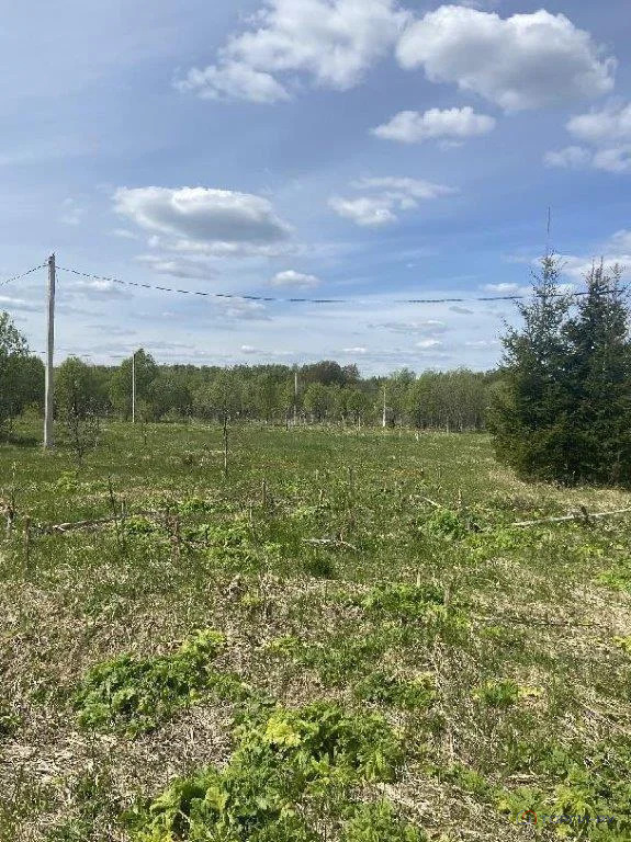 Продажа участка, Большое Пальцино, Переславский район - Фото 5