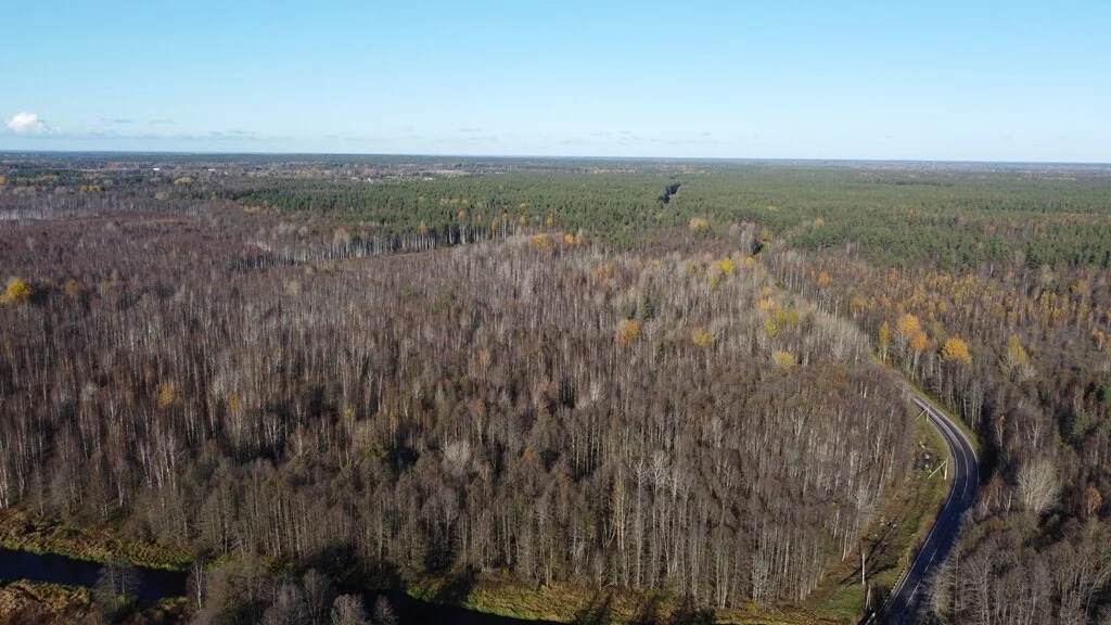 Продажа участка, Барышево, Выборгский район - Фото 3