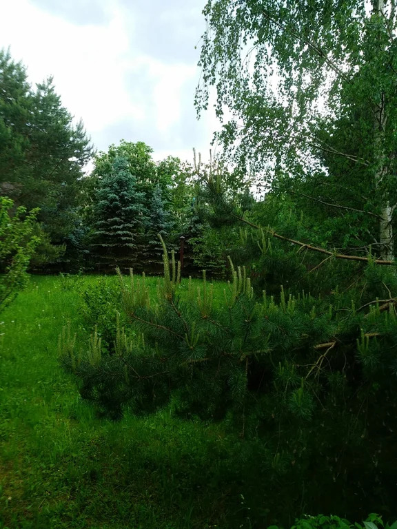 Продажа участка, Николо-Урюпино, Красногорский район, ул. Липовая - Фото 4