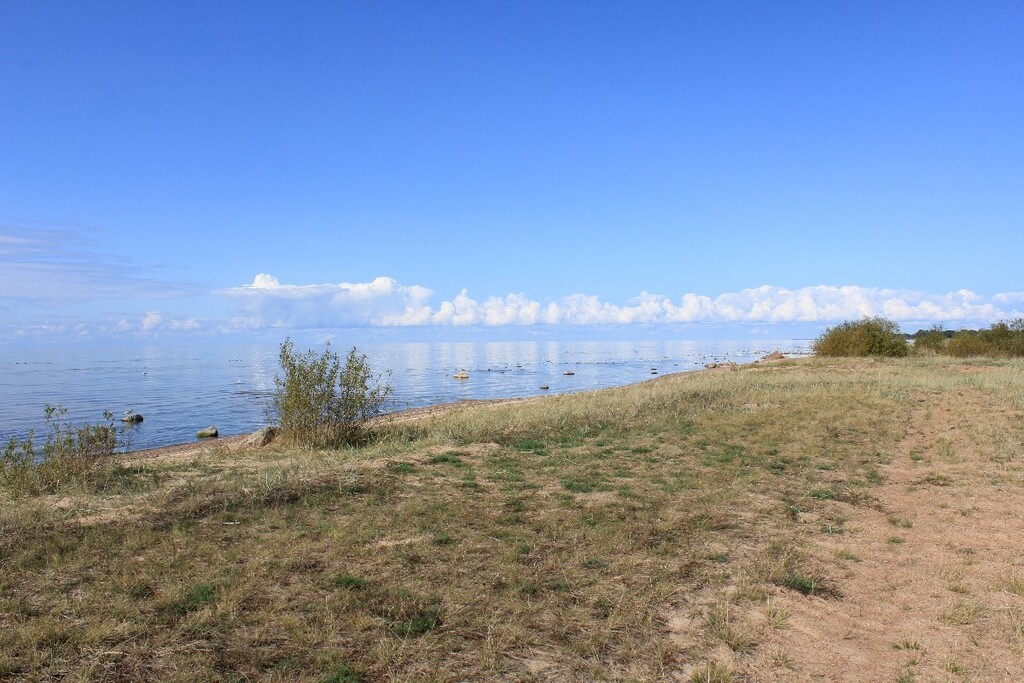 Красивый дом на Чудском - Фото 2