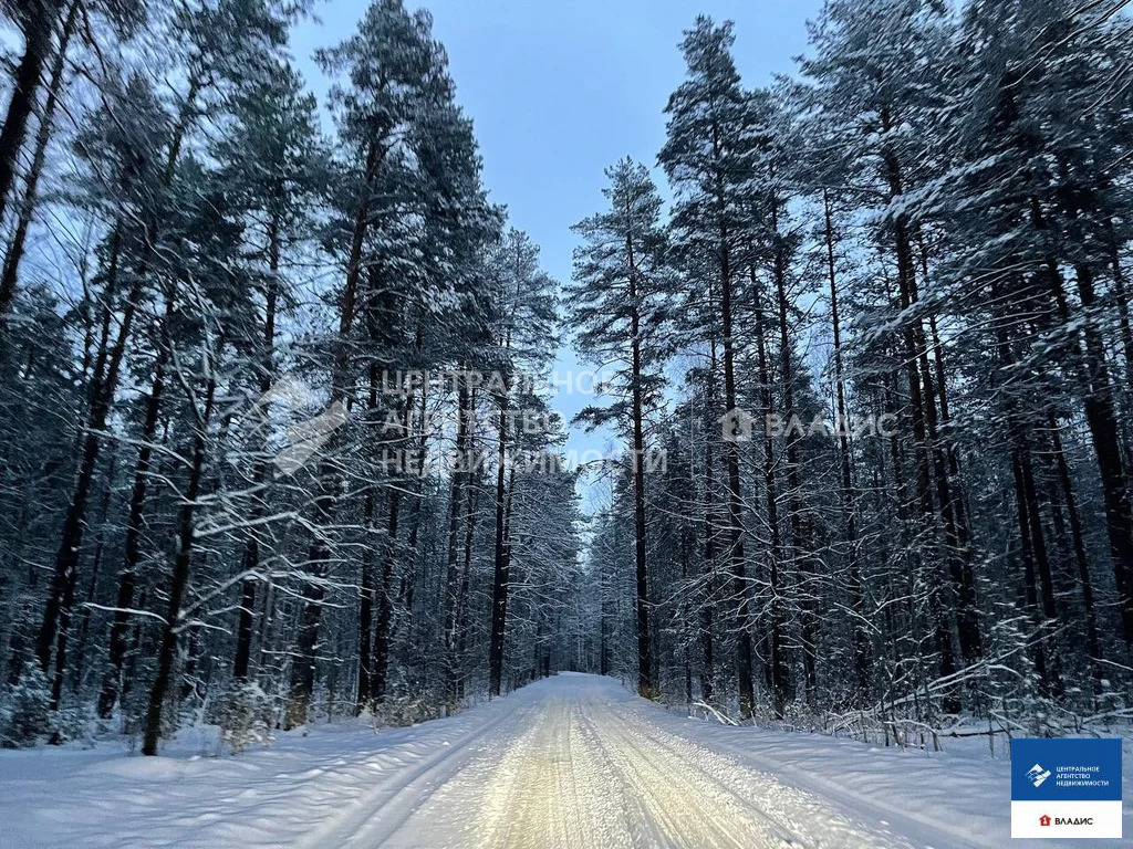 Продажа участка, Ушмор, Клепиковский район - Фото 5