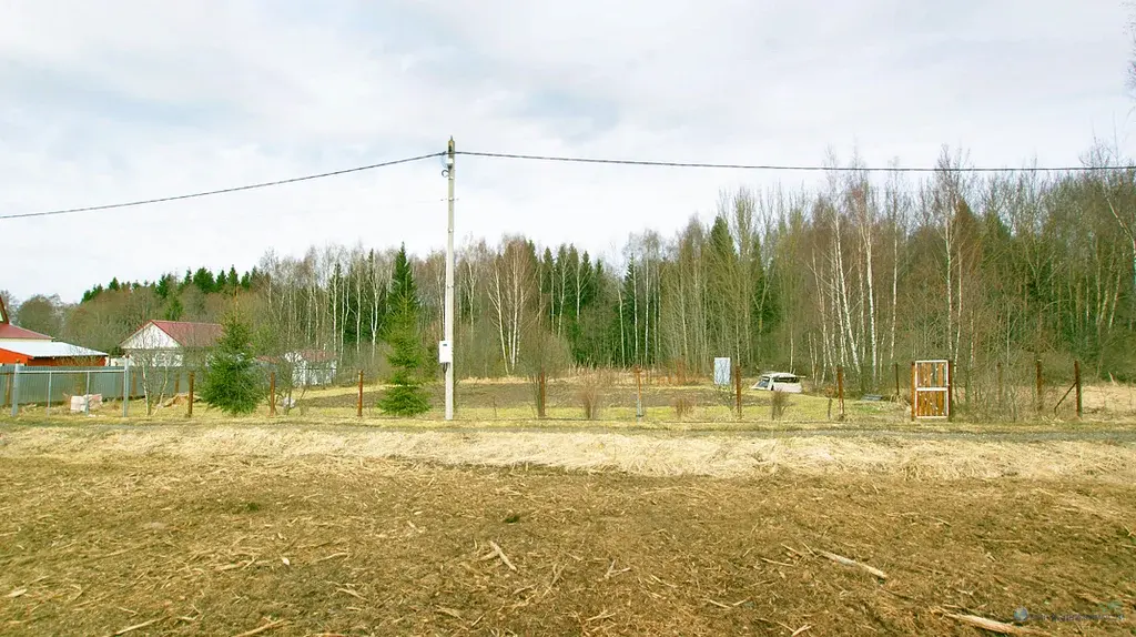 Дачный участок в пригороде Волоколамска на Новой Риге - Фото 10