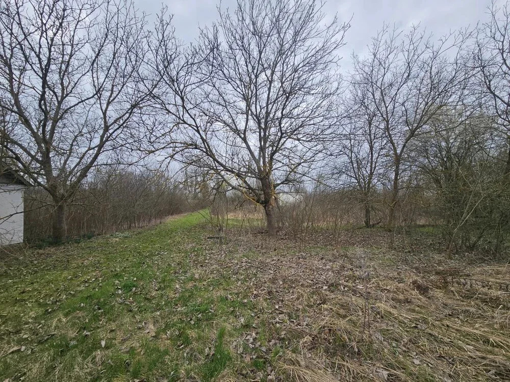 Продажа участка, Мингрельская, Абинский район - Фото 15