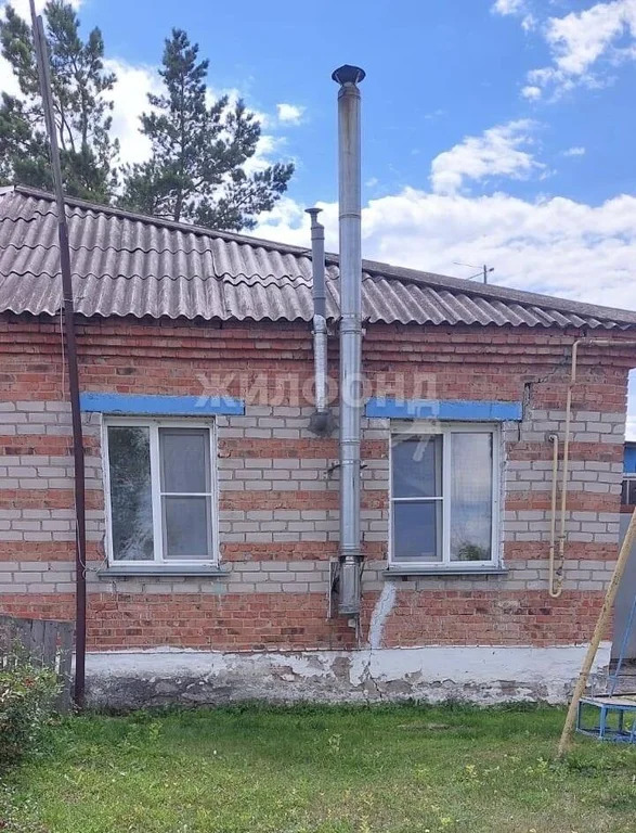 Продажа дома, Речник, Коченевский район, ул. Новая - Фото 4