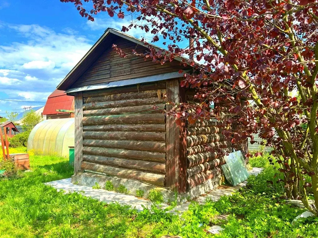 Дача в СНТ Вега - Фото 17