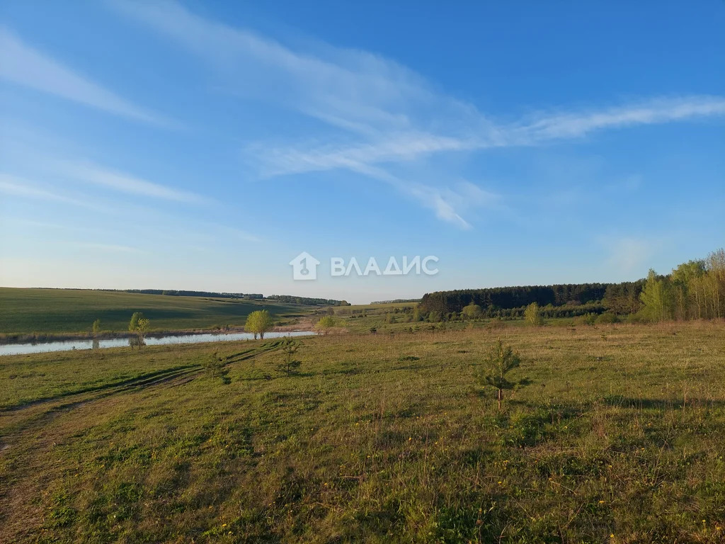 Земельный участок на продажу, Юрьев-Польский район, село Небылое, ... - Фото 4