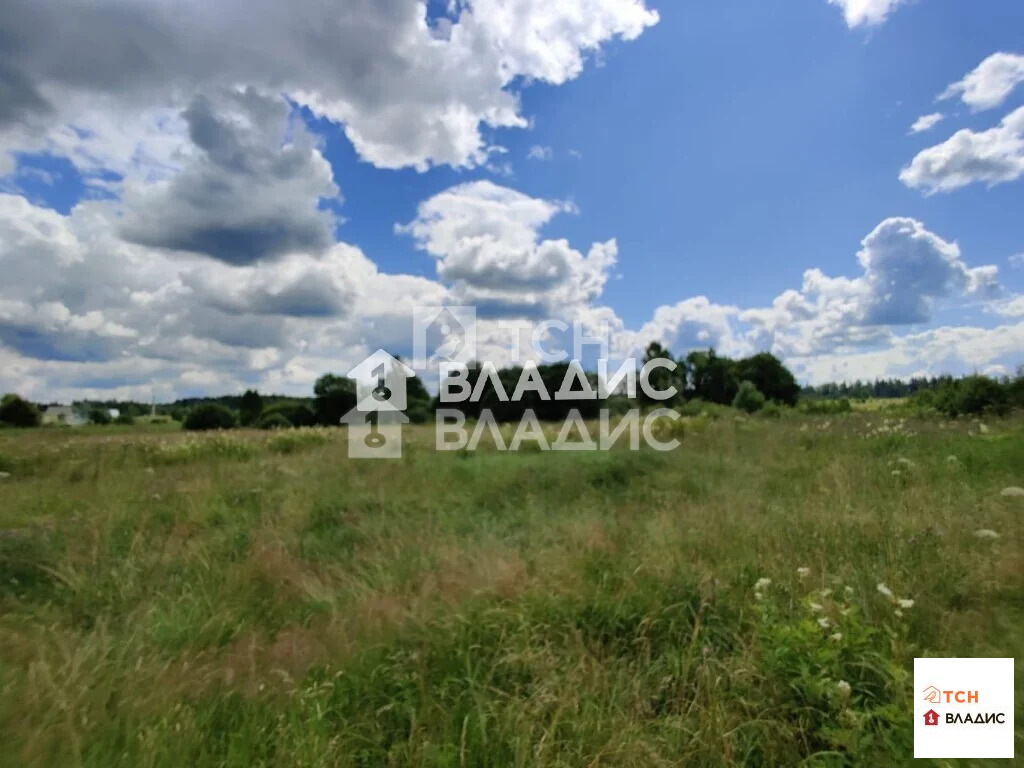 Можайский городской округ, село Борисово,  земля на продажу - Фото 0