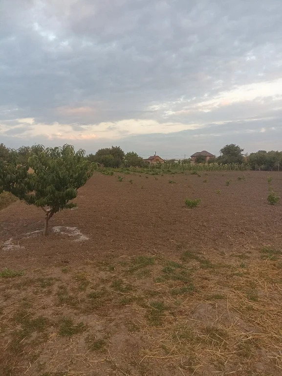 Продажа участка, Оазис, Северский район, переулок Карасунский - Фото 5