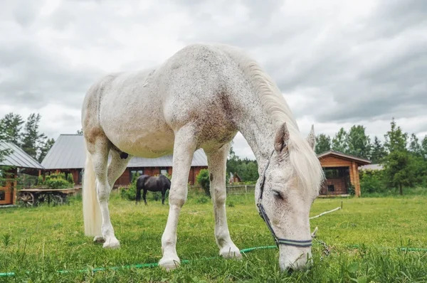 Продам участок 9,83 соток, Иваново подворье, Озерная ул, Ивановское... - Фото 9