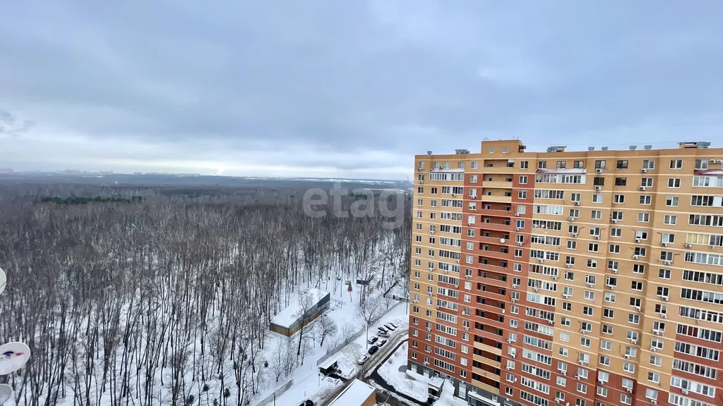 Продажа квартиры, Видное, Ленинский район, Ольховая улица - Фото 35