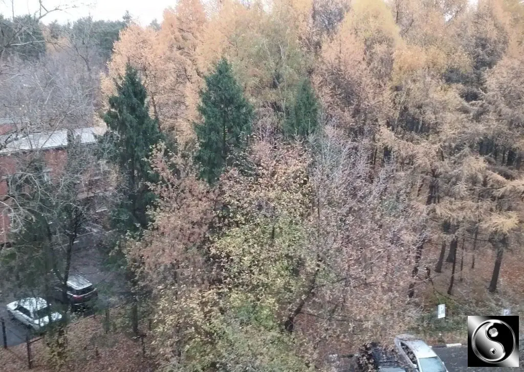 Сдам комнату 61.0/16-12м Старонародная ул., 2, Москва, ЮЗАО, р-н Южное - Фото 4