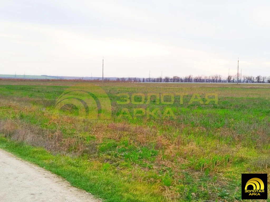 Продажа участка, Старотитаровская, Темрюкский район, Ильича пер. - Фото 11