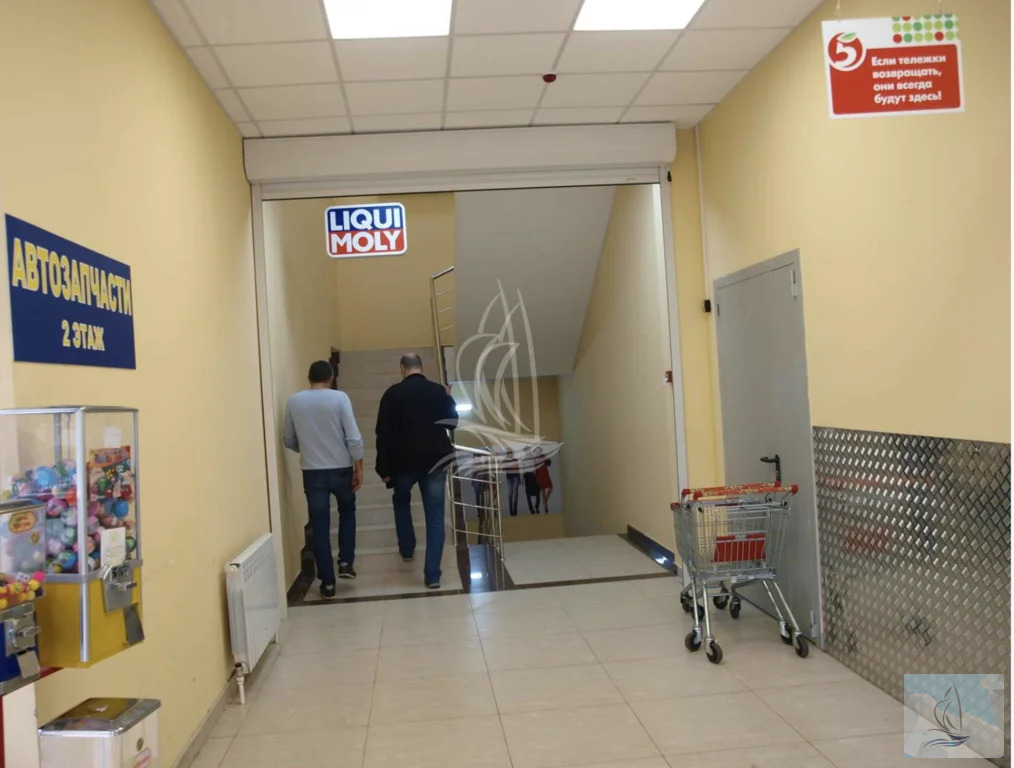 Аренда ПСН, Подольск, посёлок Кузнечики - Фото 3