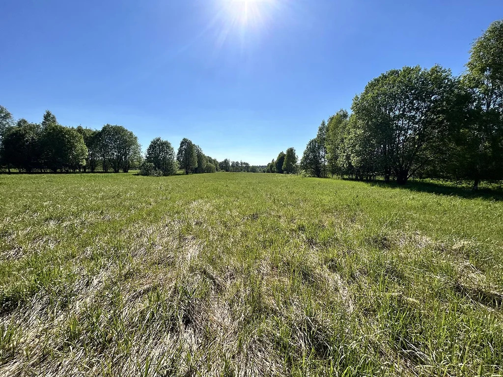 Продажа участка, Береговское, Талдомский район - Фото 3