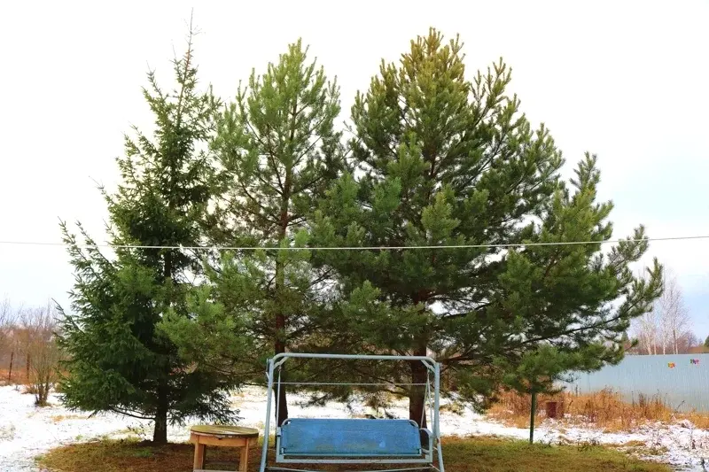 Дом в деревне Кочема - Фото 17