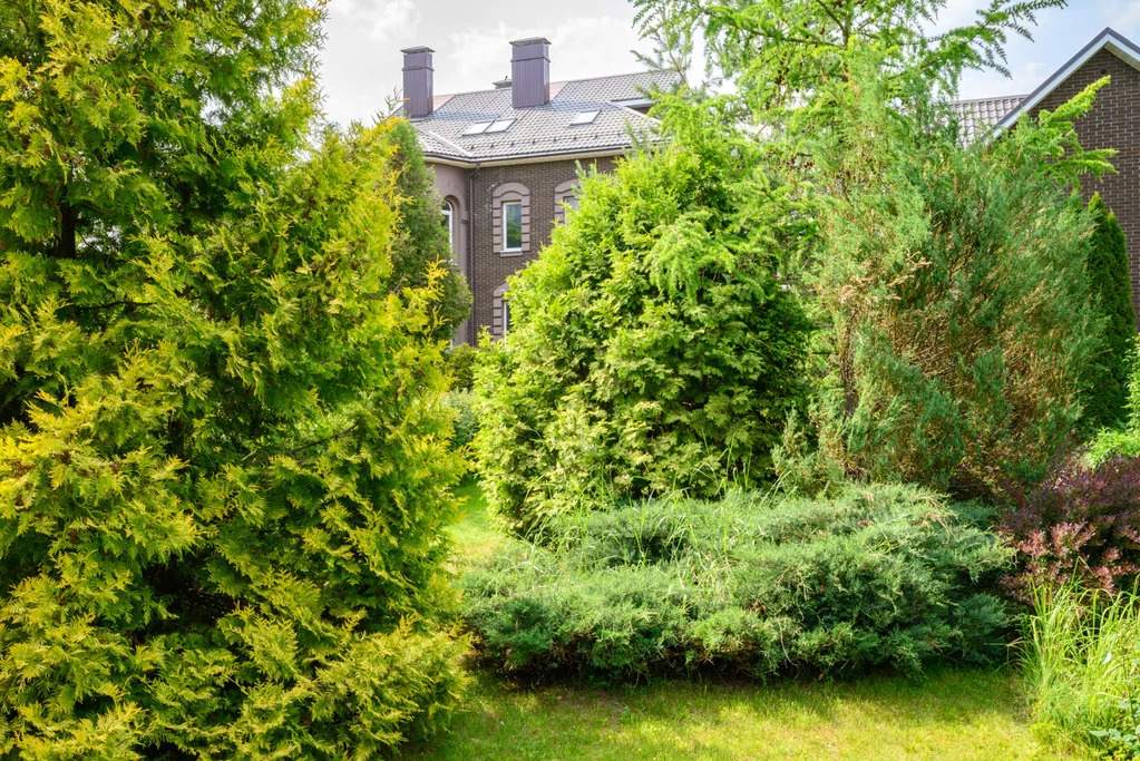 Продажа дома, Звенигород, ул. Садовая - Фото 31