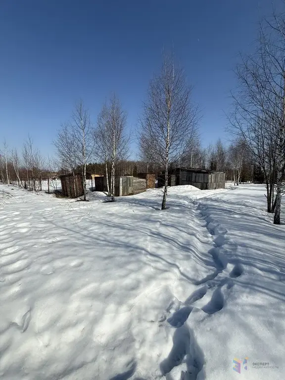 Продаю участок ясные зори - Фото 2