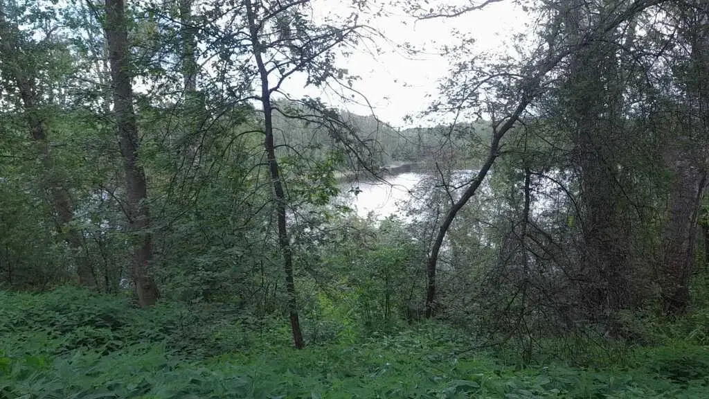 Продажа 38 га на первой линии Вазузского Тверская обл.Зубцовский р-н - Фото 8