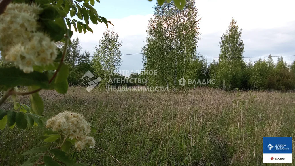 Продажа участка, Варские, Рязанский район - Фото 3