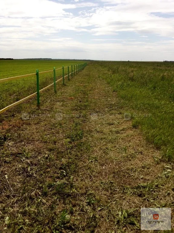 Продажа участка, Большой Салтан, Рыбно-Слободский район, дом 279 - Фото 4