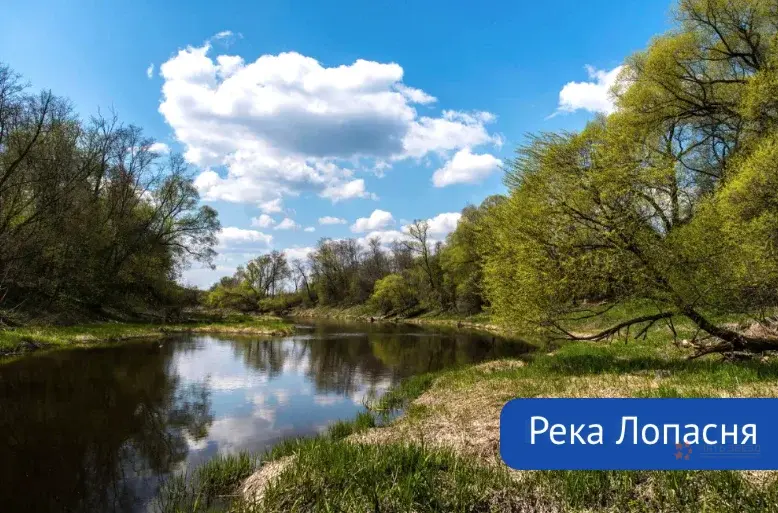 Продается дом рядом с г. Чехов - Фото 43