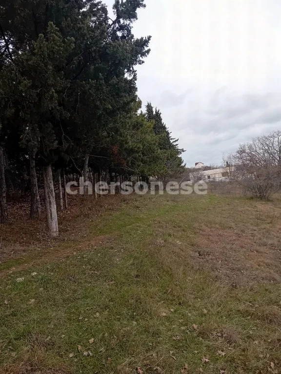 Продажа участка, Севастополь, улица Штурмана Киндюшева - Фото 4