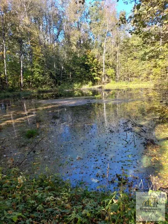 Продается участок 54 км Ленинградского шоссе - Фото 3