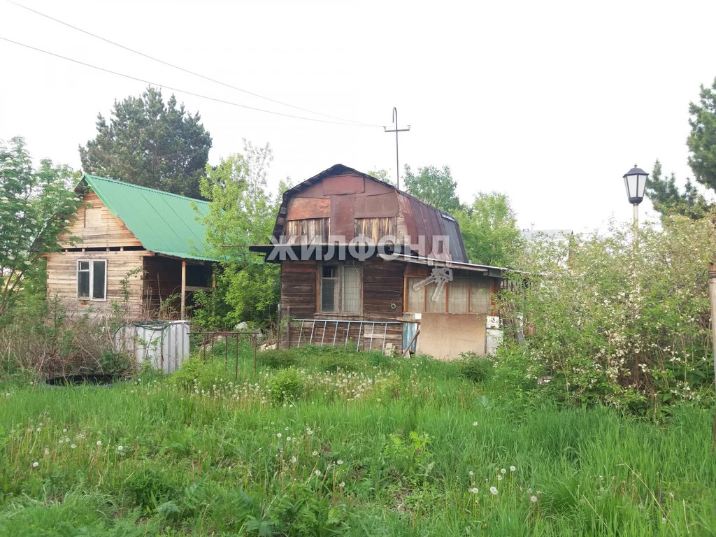 Снт садовод новосибирск. СНТ Садовод Домодедово фото.