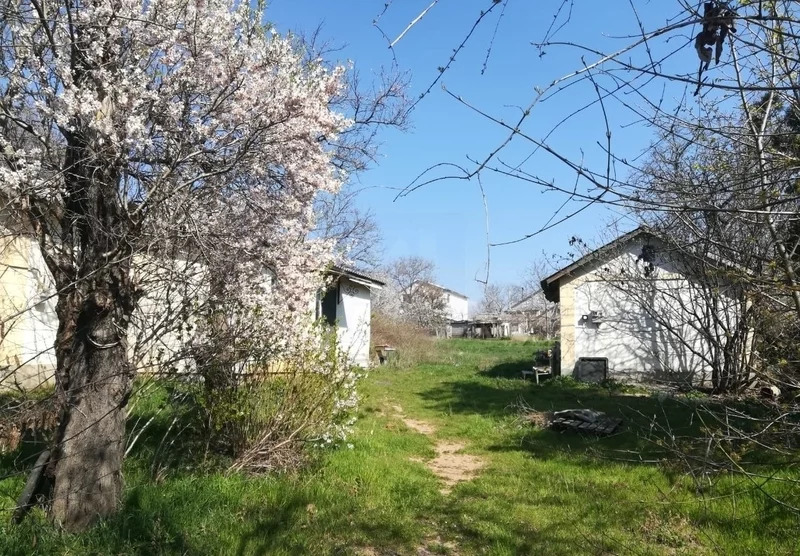 Погода в симферопольском районе село кольчугино. Село Кольчугино Крым. Кольчугино Симферополь. Лес в Кольчугино Крым.