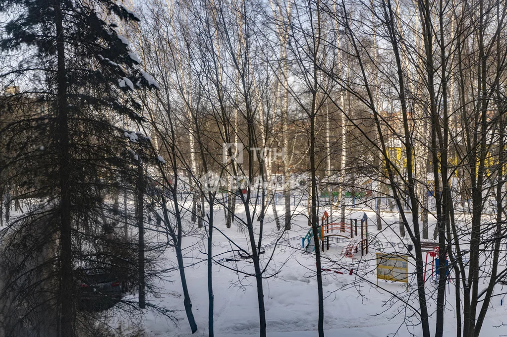 городской округ Лосино-Петровский, рабочий посёлок Свердловский, ... - Фото 25