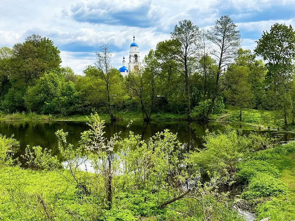 Участок в селе Раменки - Фото 16