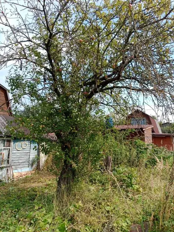 Дача в Дроздово - Фото 15