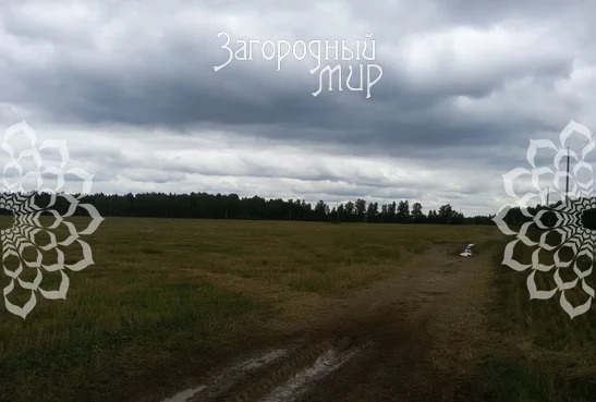 Продам участок, Варшавское шоссе, 65 км от МКАД - Фото 5