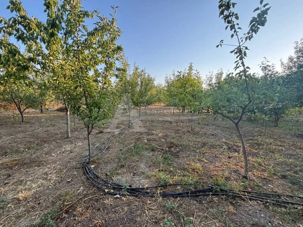 Продажа дома, Новопавловск, Кировский район, ул. Ставропольская - Фото 9
