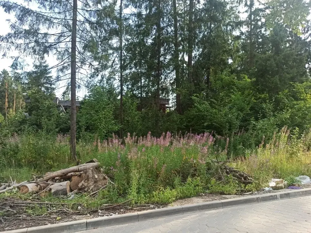 Участок в элитном современном посёлке Успенские леса на Рублевке - Фото 5