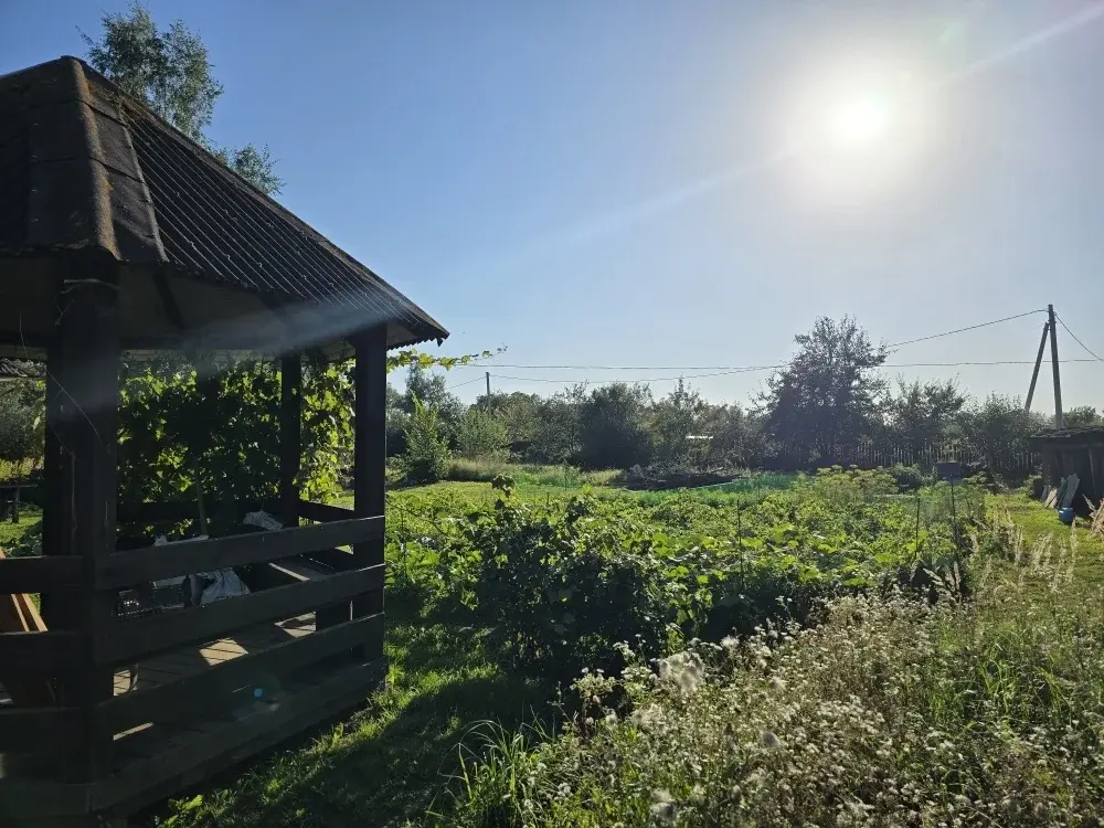 Продаю дом в д. Крутицы - Фото 18