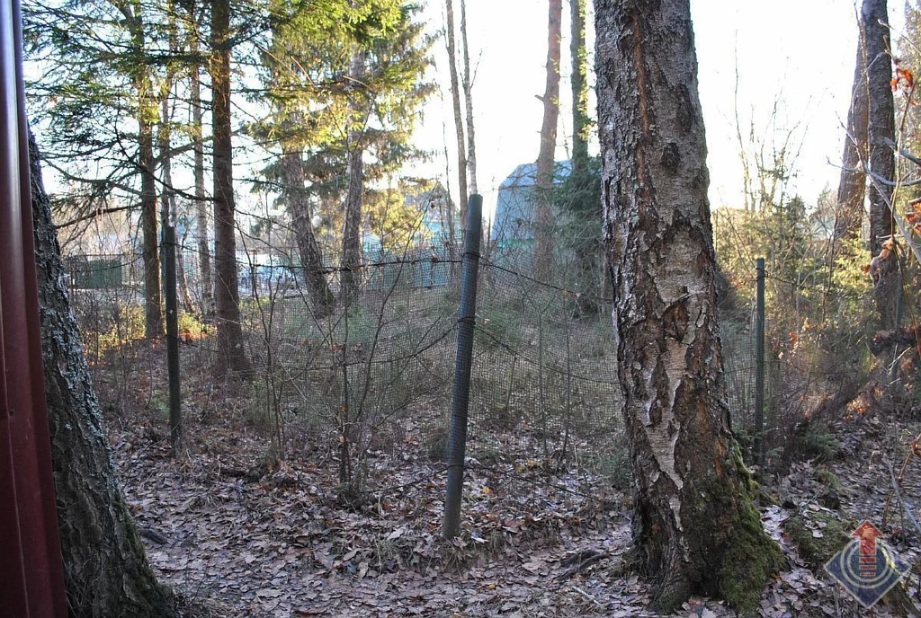 Земельный участок на лесной опушке в СНТ Родничок у д. Порядино - Фото 11