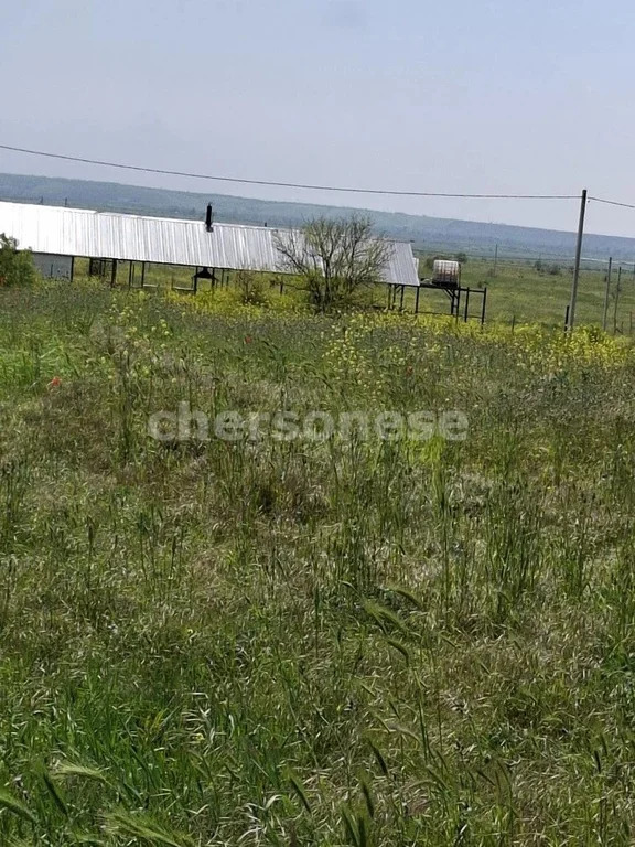 Продажа участка, Береговое, улица Новосёловская - Фото 5
