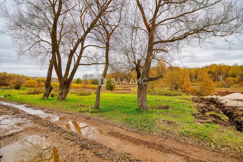 Суздальский район, деревня Зелени, Зелёная улица,  дом на продажу - Фото 3