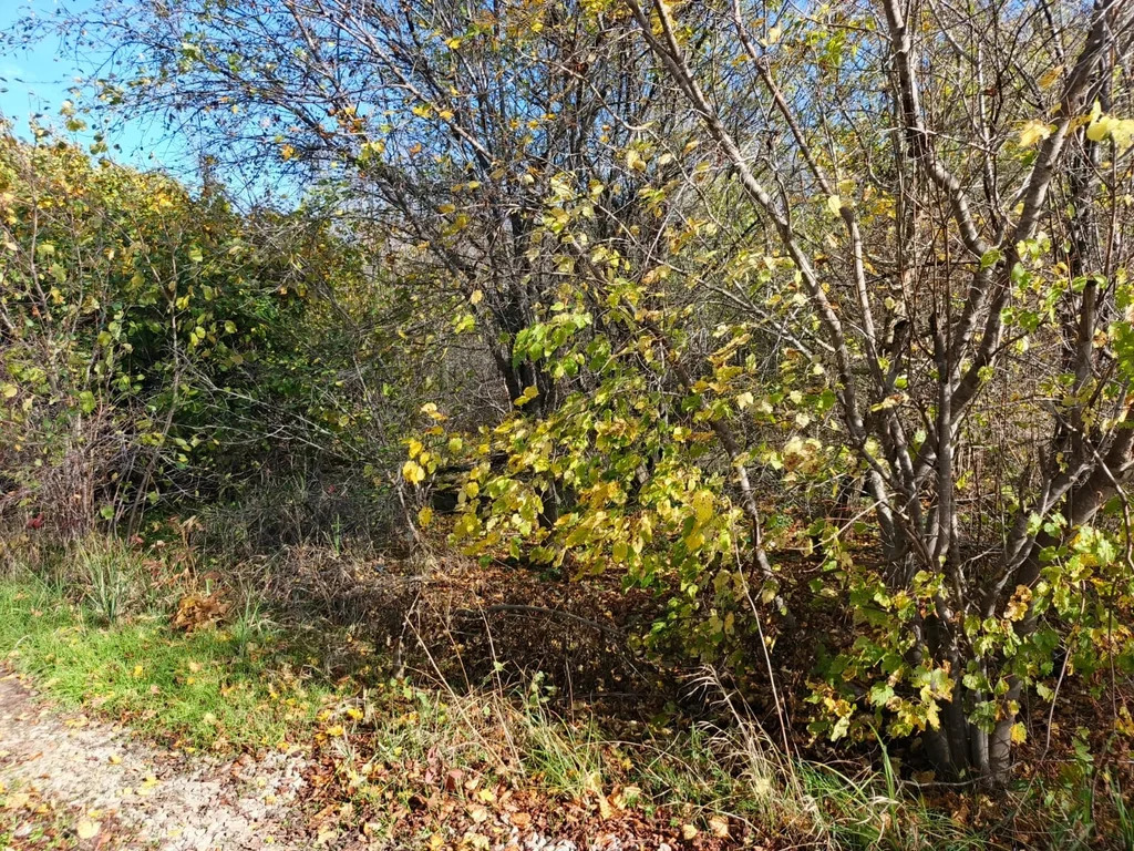 Продажа участка, Афипский, Северский район - Фото 5