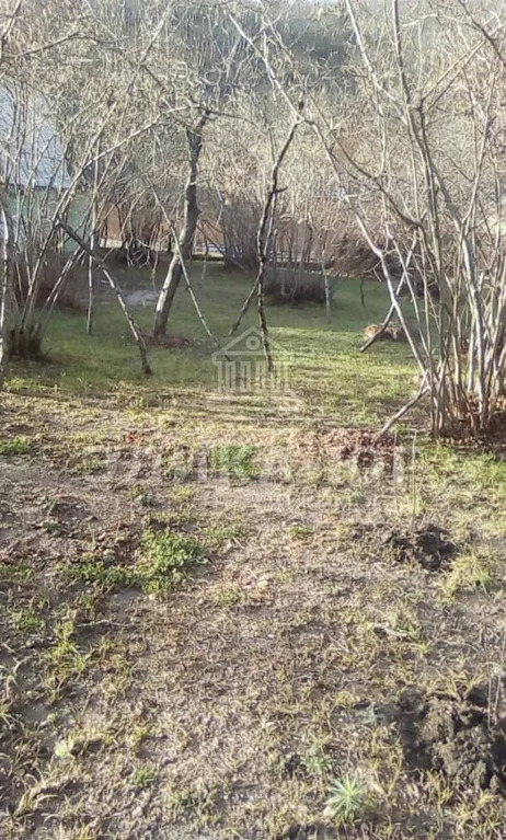 Продажа участка, Пляхо, Туапсинский район, ул. Дорога Орлят - Фото 6