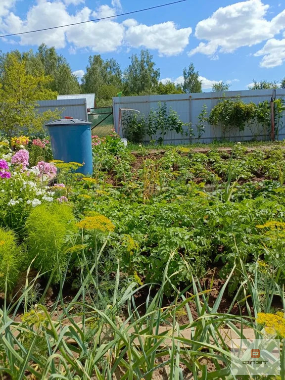 Продажа дома, СДТ Овощник-2, Высокогорский район, 7-я аллея - Фото 12