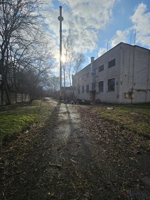 Продажа производственного помещения, Гулькевичи, Гулькевичский район, ... - Фото 3