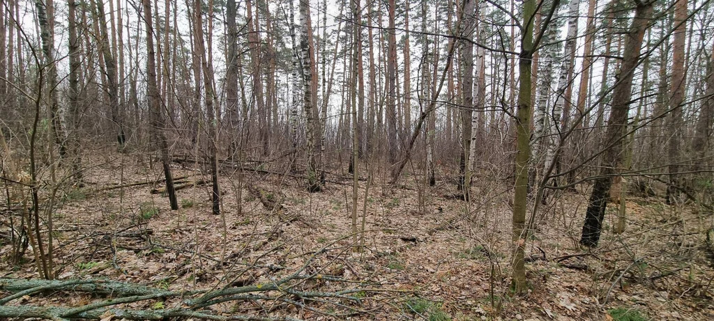 База отдыха "Лесные дали" - Фото 3