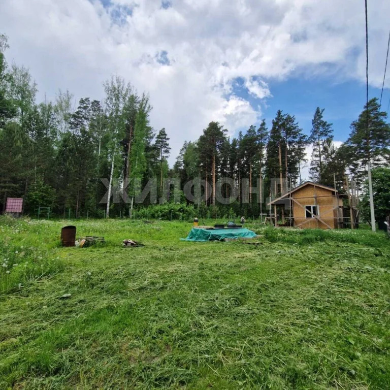 Продажа дома, Ломовская Дача, Новосибирский район, Ломовская Дача - Фото 4